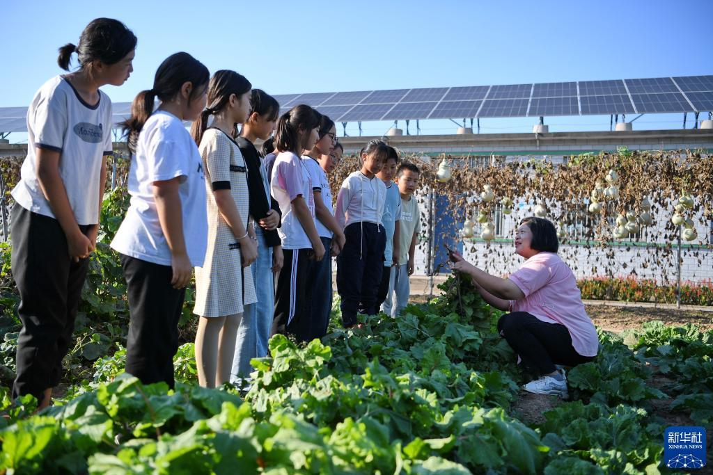 皇冠ag软件